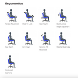 All Mesh Fully-Adjustable Ergo Desk Chair