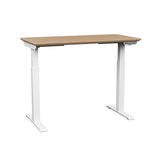 "Easy-Assembly" Height-Adjustable Desk