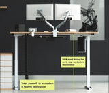Wire Organizer Desk Snake