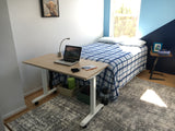 Wire Organizer Desk Snake