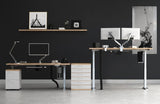 Proper-Height Dual Monitor Ergonomic Arm