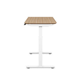 "Easy-Assembly" Height-Adjustable Desk