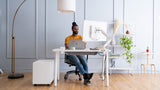 Mobio™ Single Monitor Ergonomic Arm