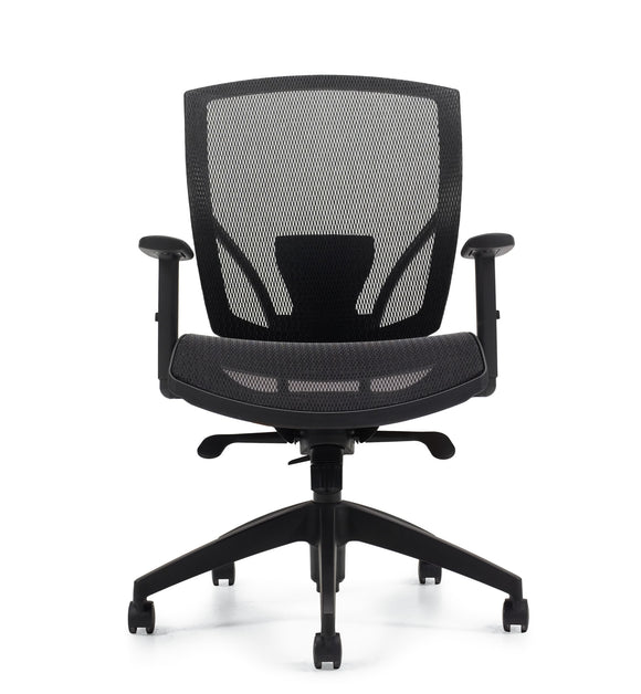 All Mesh Fully-Adjustable Ergo Desk Chair