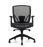 All Mesh Fully-Adjustable Ergo Desk Chair